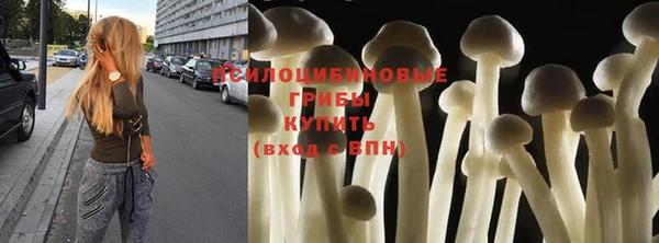 соль ск Алексеевка