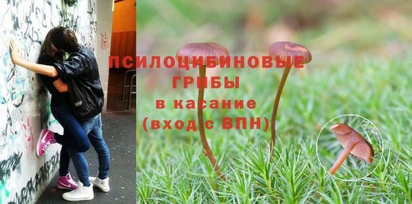 Альфа ПВП Алзамай