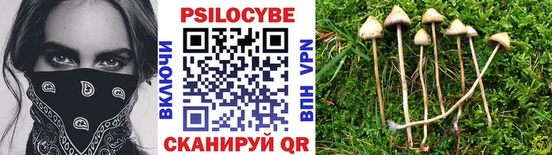Псилоцибиновые грибы GOLDEN TEACHER где купить Печоры
